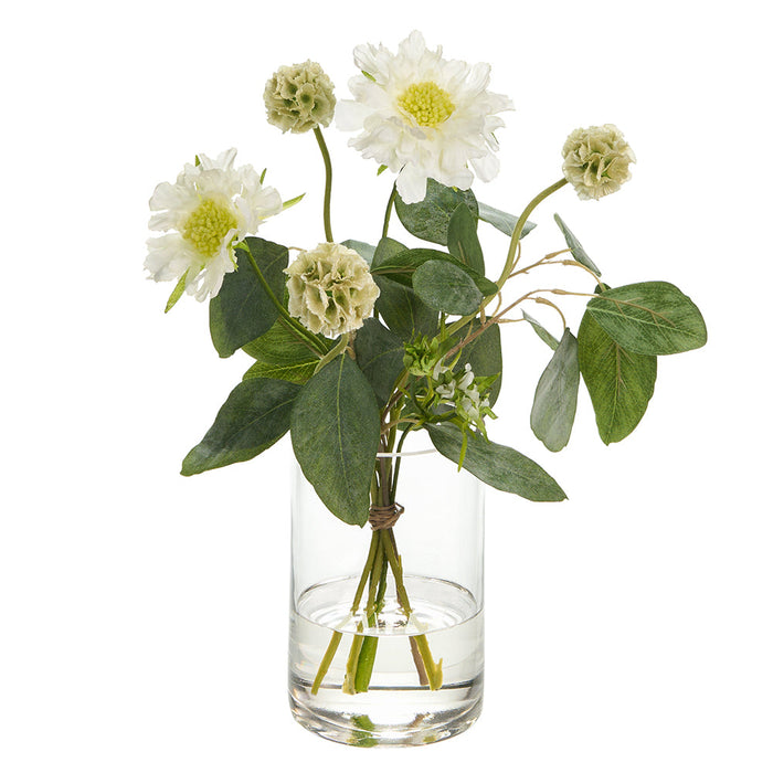14"Hx11"W Scabiosa & Eucalyptus Leaf Silk Flower Arrangement w/Glass Vase -White/Green - WZ0164-WH/GR