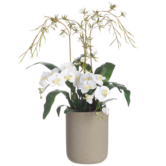 38"Hx32"W Mixed Orchid Silk Flower Arrangement w/Cement Planter -White/Green - WZ0226-WH/GR