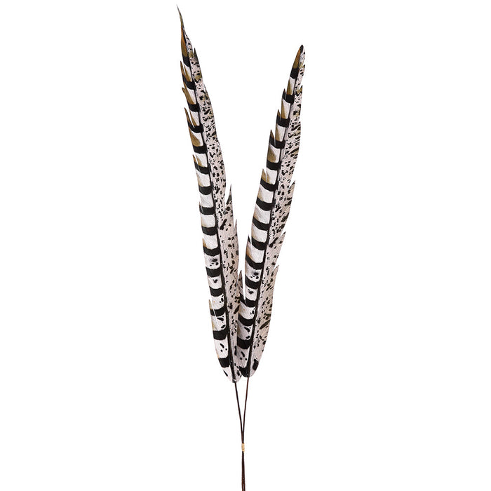 32.5" Artificial Pheasant Feather Stem Bundle -Brown/Black (Pack of 36) - XAB741-BR/BK