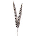 32.5" Artificial Pheasant Feather Stem Bundle -Brown/Black (Pack of 36) - XAB741-BR/BK