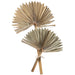 15.35" Artificial Fan Palm Leaf Stem Bundle -Beige (pack of 6) - XAB801-CR