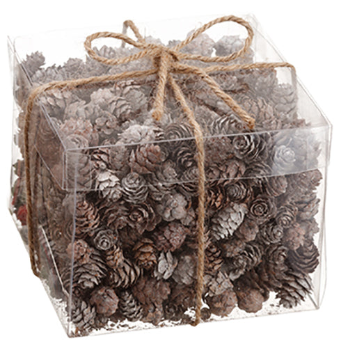 5"Hx6"Wx6"L Artificial Boxed Mini Pinecone Assortment -Brown/Whitewashed (pack of 12) - XAL794-BR/WW