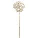 27" Artificial Allium Flower Stem -Pearl (Pack of 12) - XAQ013-PEA