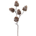 19" Iced Plastic Artificial Pinecone Stem -Brown (Pack of 12) - XAQ061-BR