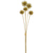 19.5" Glittered Metallic Artificial Globe Thistle Flower Stem Bundle -Champagne (Pack of 12) - XAQ086-CN