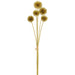 19.5" Glittered Metallic Artificial Globe Thistle Flower Stem Bundle -Gold (Pack of 12) - XAQ086-GO