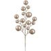 21" Glittered Artificial Ball Stem -Champagne (Pack of 12) - XAQ130-CN