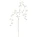 37" Glittered Artificial Amaranthus Flower Stem -White (Pack of 12) - XAQ178-WH