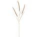51" Metallic Artificial Blooming Fountain Grass Stem -Champagne (Pack of 12) - XAQ627-CN