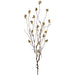 36" Glittered Artificial Moss Twig Stem -Champagne (Pack of 12) - XAQ628-CN