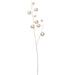 36" Metallic Artificial Pompon Stem -Champagne (Pack of 12) - XAQ880-CN