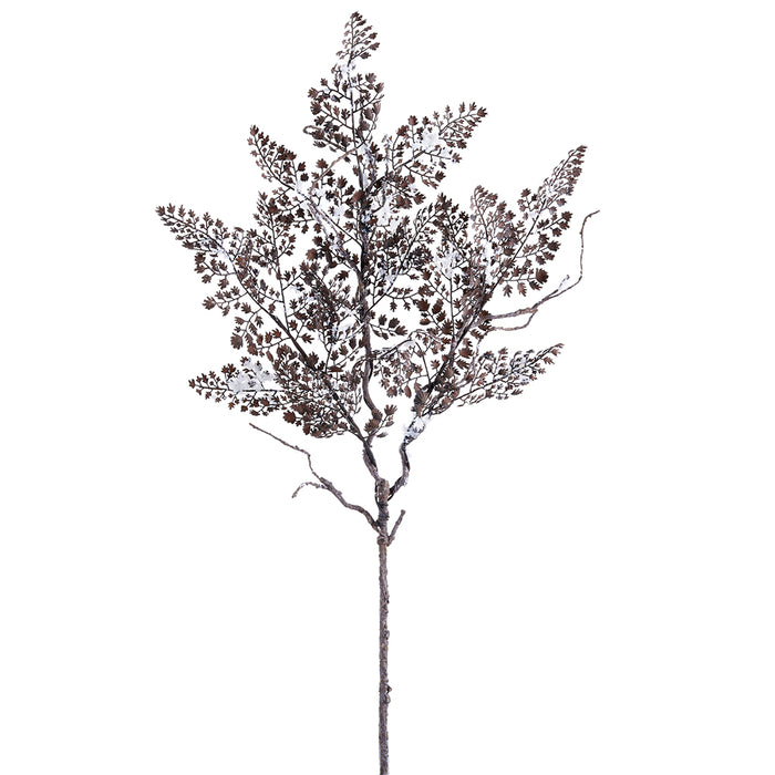 35" Snowed Artificial Maidenhair Fern Leaf Stem -Brown (pack of 12) - XAS157-BR/SN