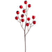 22" Eucalyptus Pod Berry Artificial Stem -Red (Pack of 12) - XAS288-RE
