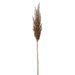 36" Frosted Metallic Artificial Pampas Grass Stem -Copper (pack of 12) - XAS591-CP
