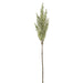 32" Glittered Artificial Pampas Grass Stem -Green (Pack of 12) - XAS683-GR