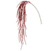61" Glittered Artificial Amaranthus Flower Stem -Red (pack of 12) - XAS749-RE