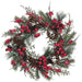 24" Artificial Snowed Berry, Pinecone & Pine Hanging Wreath -Red/Snow (pack of 2) - XBI695-RE/SN