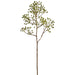 26" Faux Berry Stem -Green (Pack of 12) - XBS649-GR