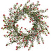 14" Flocked Artificial Berry Wreath -Red (Pack of 6) - XBW210-RE