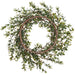 14" Flocked Artificial Berry Wreath -White (Pack of 6) - XBW210-WH