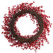 24" Outdoor Water-Resistant Plastic Artificial Berry Wreath -Red (Pack of 2) - XBW550-RE