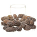 14"Wx3"H Pinecone Candle Ring Holder w/Glass -Brown (pack of 2) - XDC070-BR