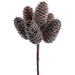 8" Pinecone Stem Pick -Brown (pack of 12) - XDK070-BR