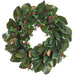 26" Artificial Magnolia Leaf, Holly & Pine Wreath -Green/Red (Pack of 2) - XDW570-GR/RE