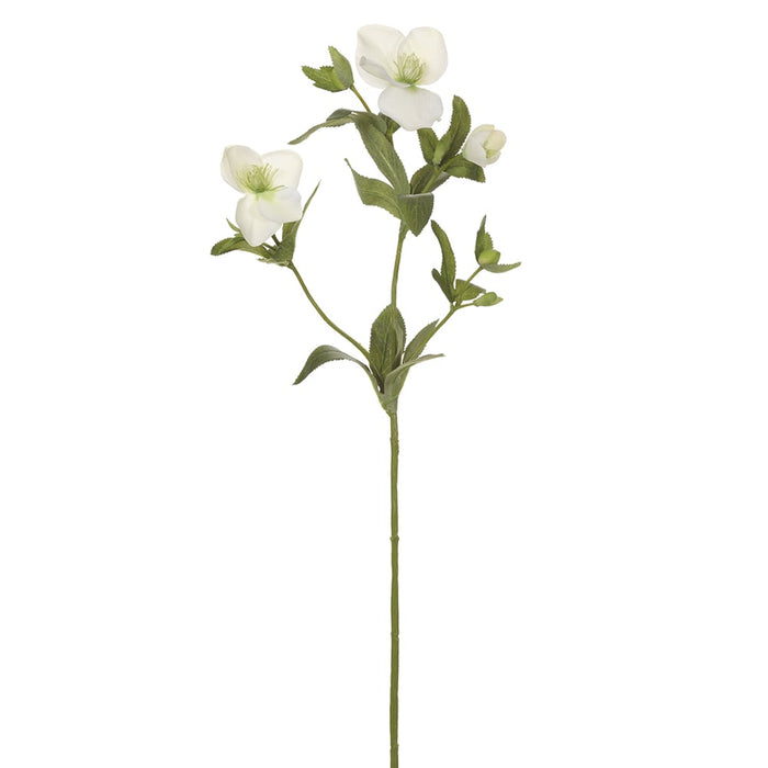 25" Helleborus Artificial Flower Stem -Cream/Green (pack of 12) - XFS074-CR/GR