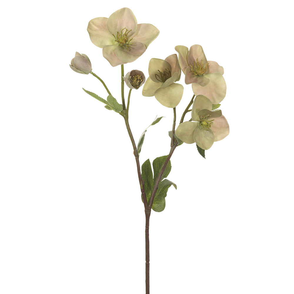 17" Helleborus Silk Flower Stem -Green (pack of 12) - XFS080-GR
