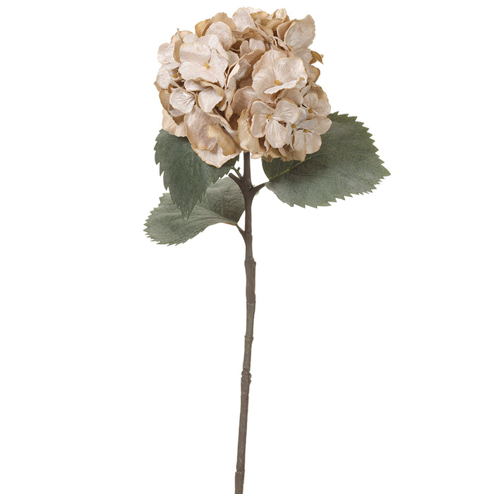 31" Velvet Hydrangea Artificial Flower Stem -Vanilla/Gold (pack of 12) - XFS088-VA/GO