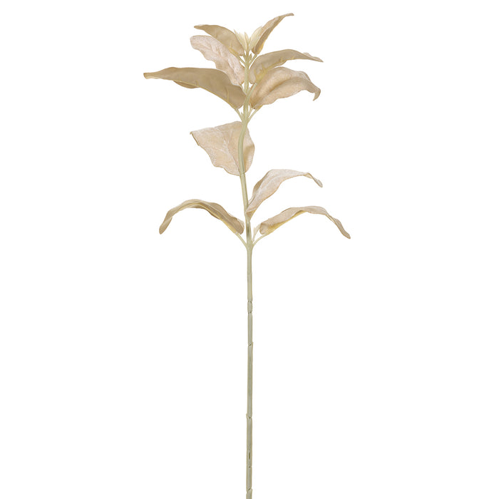 26" Velvet Artificial Lamb's Ear Leaf Stem -Vanilla/Gold (Pack of 12) - XFS089-VA/GO