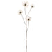 34" Shimmer Iridescent Helleborus Artificial Flower Stem -White (Pack of 12) - XFS112-WH