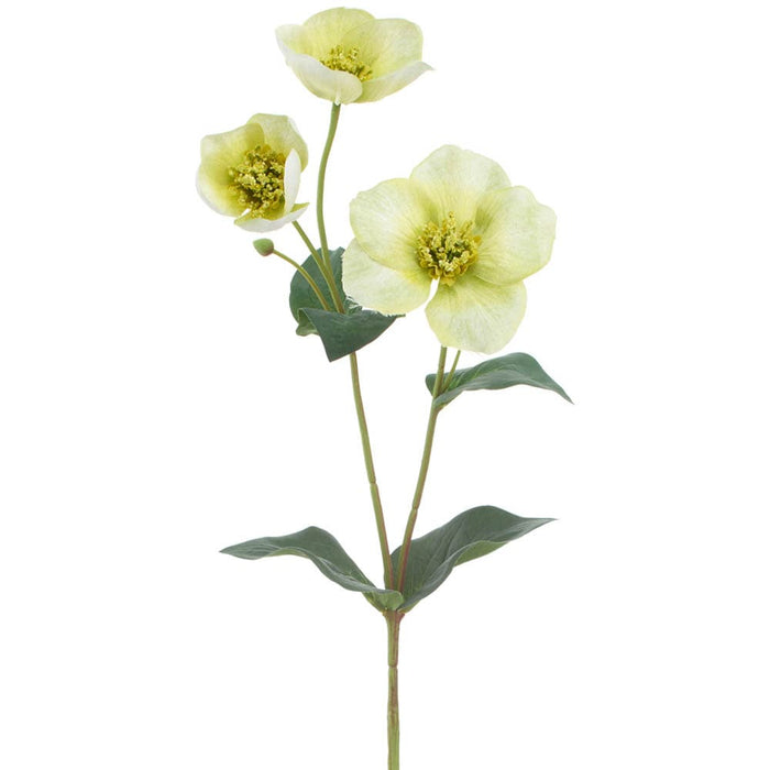 25.5" Helleborus Artificial Flower Stem -Green (Pack of 12) - XFS140-GR