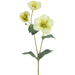 25.5" Helleborus Artificial Flower Stem -Green (Pack of 12) - XFS140-GR