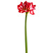 27" Artificial Amaryllis Flower Stem -Red/White (pack of 12) - XFS182-RE/WH