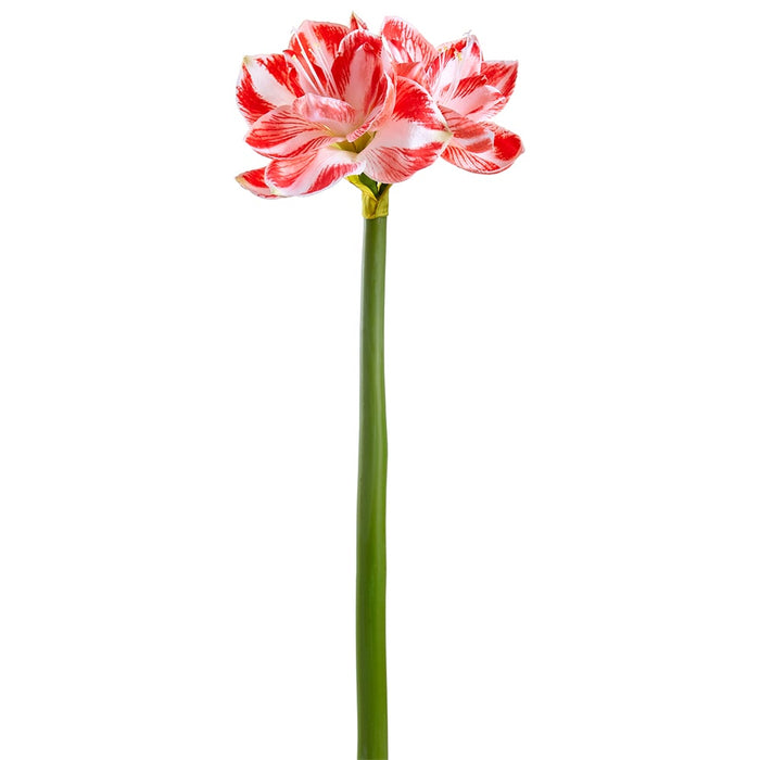27" Artificial Amaryllis Flower Stem -White/Red (pack of 12) - XFS182-WH/RE