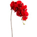 34" Velvet Artificial Phalaenopsis Orchid Flower Stem -Red (pack of 12) - XFS185-RE