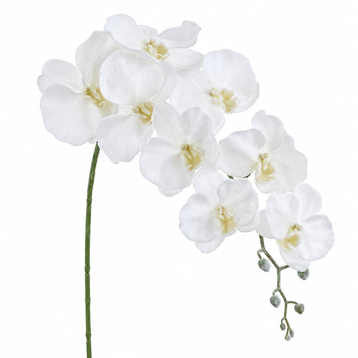 33" Flocked Phalaenopsis Orchid Artificial Flower Stem -White (Pack of 6) - XFS186-WH