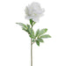 28" Snowed Artificial Peony Flower Stem -White (pack of 12) - XFS188-SN/WH