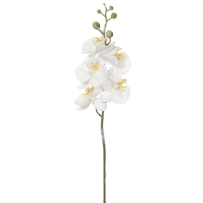 24" Iced Artificial Phalaenopsis Orchid Flower Stem -White (Pack of 12) - XFS228-WH