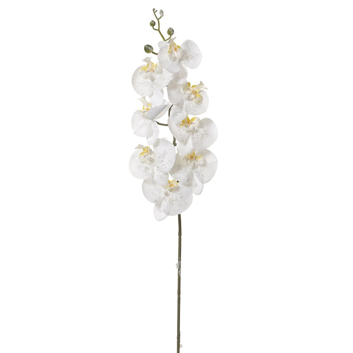 34" Iced Artificial Phalaenopsis Orchid Flower Stem -White (Pack of 12) - XFS229-WH