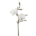 19" Iced Artificial Magnolia Flower Stem -White (pack of 12) - XFS235-WH