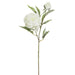 27.5" Snowed Artificial Peony Flower Stem -White (pack of 12) - XFS278-SN/WH