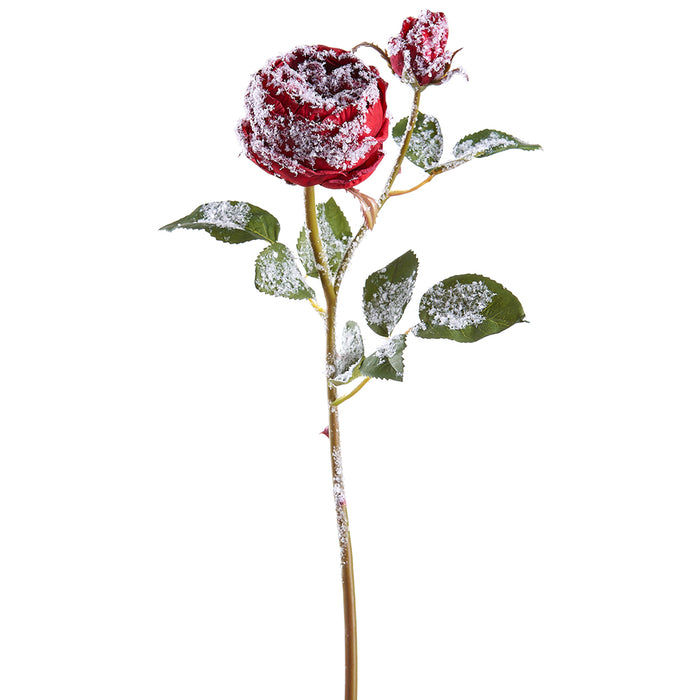 23" Snowed Artificial Rose Flower Stem -Red (pack of 12) - XFS298-RE/SN