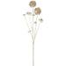 35" Metallic Artificial Skimmia Flower Stem -Champagne (Pack of 6) - XFS361-CN