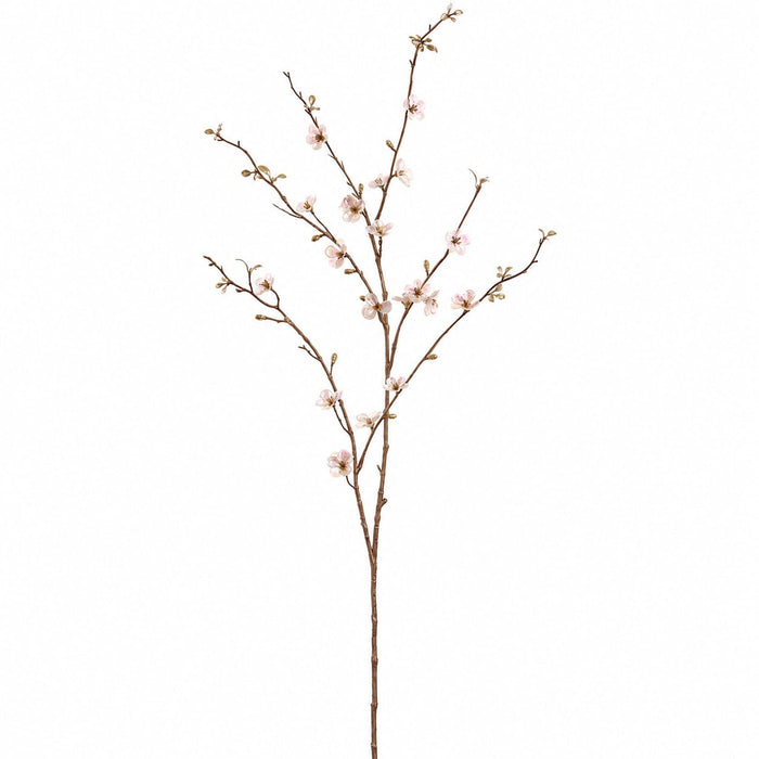55" Iridescent Artificial Quince Blossom Flower Stem -Cream (Pack of 6) - XFS401-CR