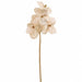 26" Metallic Artificial Lace Vanda Orchid Flower Stem -Gold (Pack of 6) - XFS412-GO
