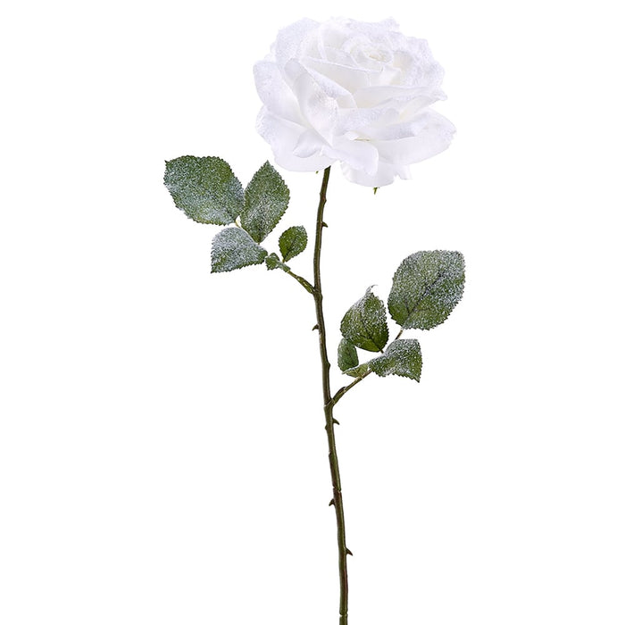 26.5" Snowed Artificial Rose Flower Stem -White (pack of 12) - XFS546-WH