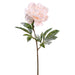 28" Artificial Snowed Peony Flower Stem -Pink (pack of 12) - XFS549-PK